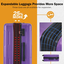2 Piece Luggage Set With Bags Expanable Spinner Wheels ABS Lightweight Suitcase With Tsa Lock 20" / 28"