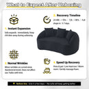 LY-049S Curved Modern Boneless Sofa Loveseat