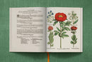 Basilius Besler. The Garden at Eichstätt (German, French, English) (FFE)