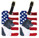 USA American Flag with Akita Luggage Tag