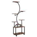 8 Tier Indoor Plant Stand With Grow Lights, S Shaped Metal Shelf For Multiple Plants - Black / Dark Walnut by HouseOfZazla
