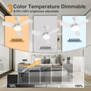 24.4" Modern Ceiling Fan with Light by HouseOfZazla