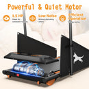 Dog Treadmill For Small To Medium Dogs With LED Display - Black / Orange by HouseOfZazla
