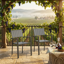 Modern Outdoor Indoor Metal Side Chair - Set of 2 by HouseOfZazla