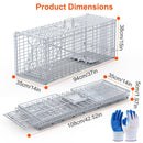 Live Animal Trap Cage 37x14x15in Folding Catch and Release Humane Cat Trap Galvanized Iron for Raccoons Foxes Coyotes Stray Dogs Armadillos Squirrels