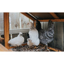 Wire Mesh Fence Roll 60in x 50ft, 1/2in x 1/2in 19GA Galvanized Steel Poultry Netting by HouseOfZazla