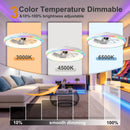 23.6" Modern RGB Ceiling Fan with Lights by HouseOfZazla