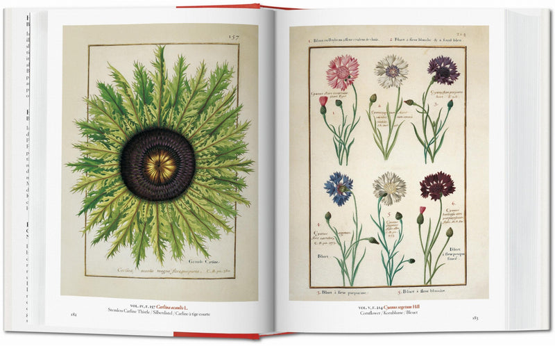 A Garden Eden. Masterpieces of Botanical Illustration. 45th Ed. (Spanish, English, Italian)