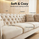 Contemporary Velvet Sofa With 2 Pillows