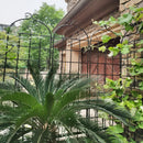 Metal Garden Rustproof Trellis For Climbing Plants Outdoor Flower Support by HouseOfZazla