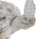 Decorative Polyresin Turtle Statue