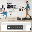 Stary Electric Standing Desk