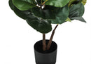 49" Tall Artificial Plant Fiddle Tree with Real Touch Leaves by HouseOfZazla