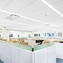 Absolume LM-LF 30W LED 6" X 4' Linear Flat Panel Selectable CCT 2 Pack