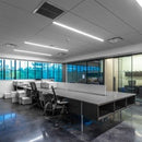 Absolume LM-LF 8W LED 4" X 1' Linear Flat Panel Selectable CCT 2 Pack