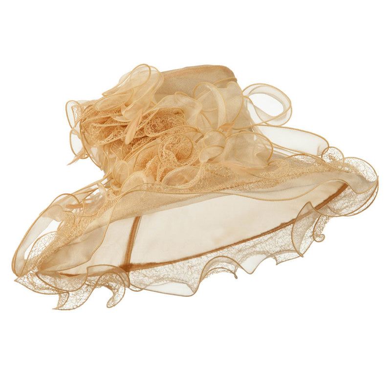 Feather and Lace Accent Organza Hat