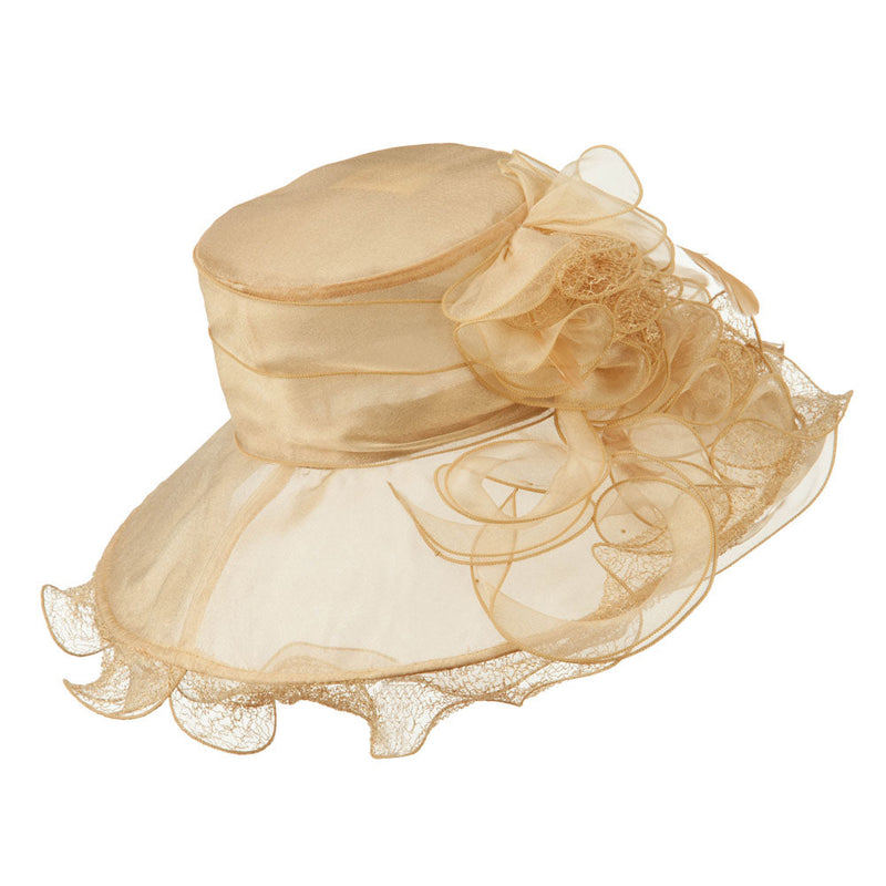 Feather and Lace Accent Organza Hat