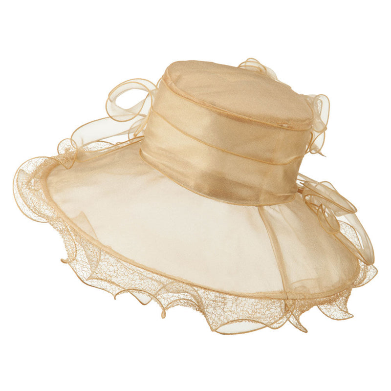 Feather and Lace Accent Organza Hat