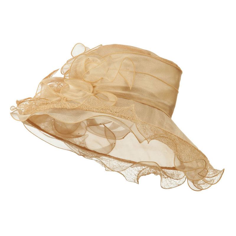 Feather and Lace Accent Organza Hat