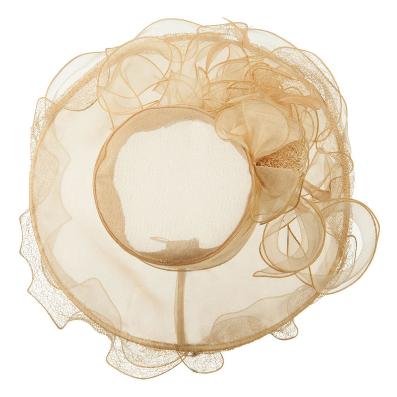Feather and Lace Accent Organza Hat