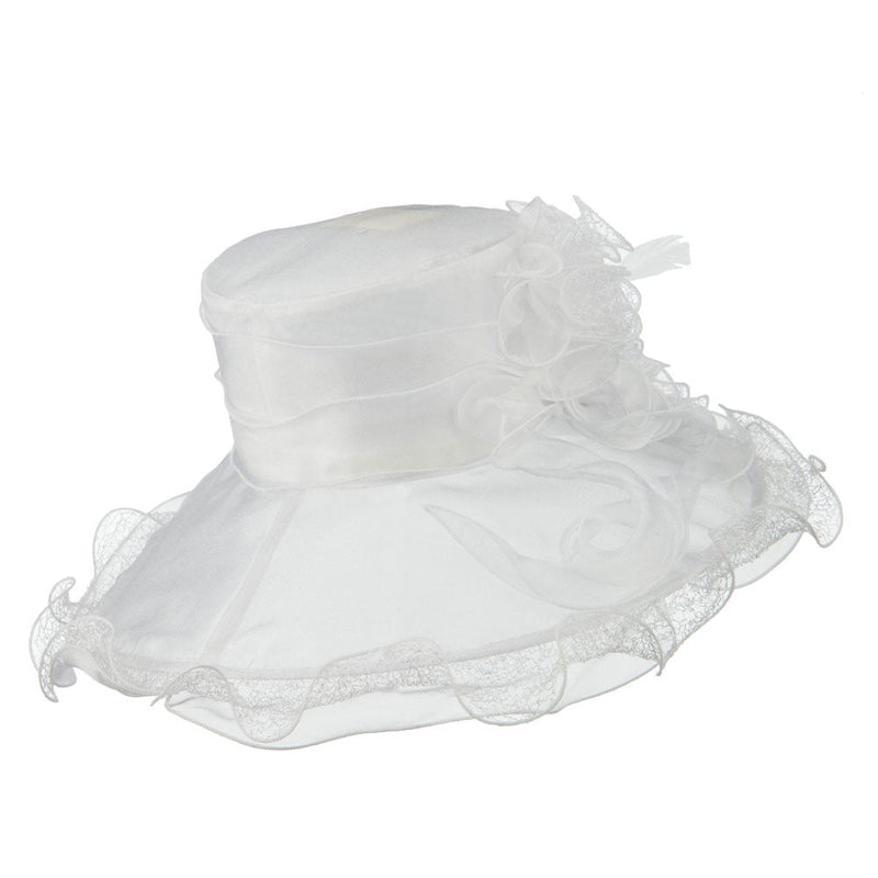 Feather and Lace Accent Organza Hat