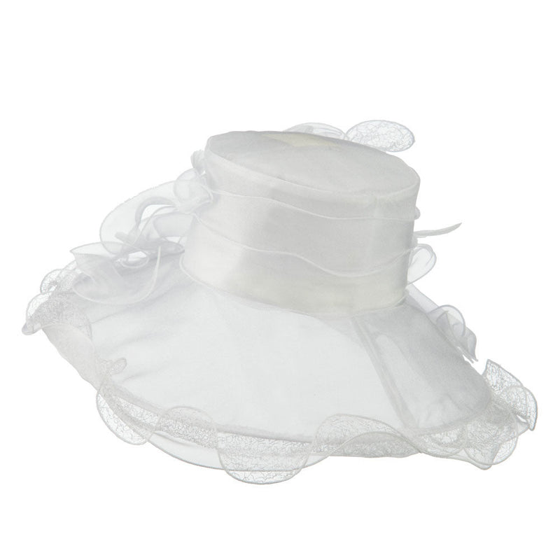 Feather and Lace Accent Organza Hat