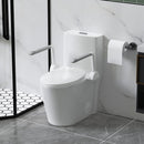 Upgraded Design Armrest, With Glossy Gw 007 1 Piece Toilet With Tornado Flush, Soft Close Seat, Dual Flush Map 1000G, Comfort Chair Seat - Gloss White by HouseOfZazla