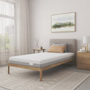 NapQueen 6 Inch Twin XL Size Memory Foam Mattress
