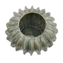 D13.2x7.5" Sculptural Cactus Vase
