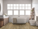 MSI Acclima®Ayla™Luxury Vinyl Planks