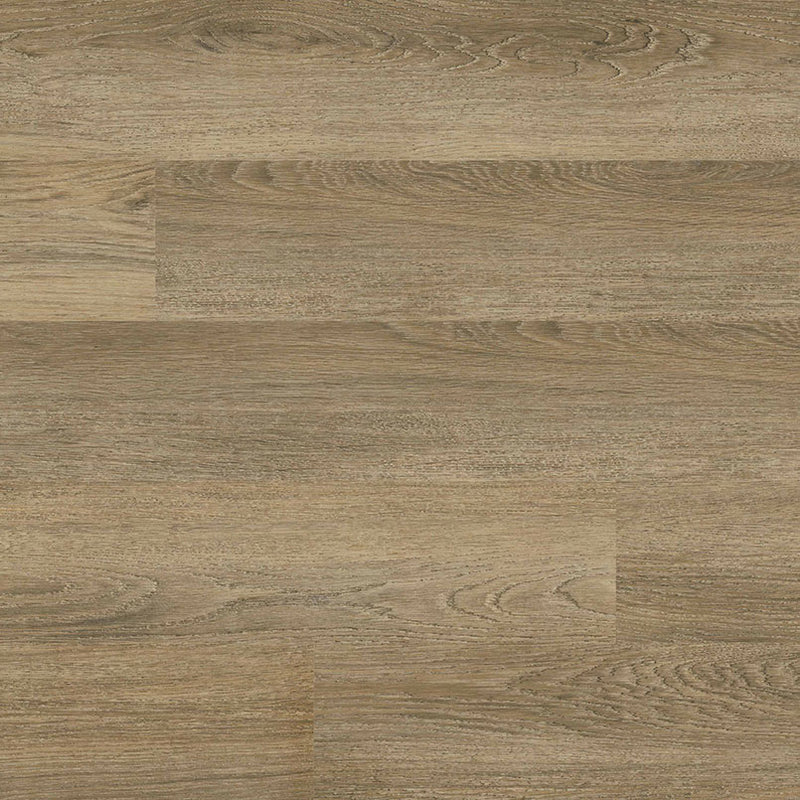 MSI Acclima®Ayla™Luxury Vinyl Planks
