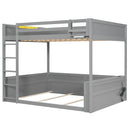 Bunk Bed With Built In Shelves, Storage Box, LED Light And USB Charging Station by HouseOfZazla