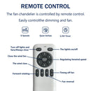 Indoor Outdoor Ceiling Fan With Light With Remote Control, Noiseless Reversible Motor, 6 Speed, 3 Color by HouseOfZazla