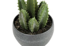 6" Tall Artificial Succulent Plant Set of 3 by HouseOfZazla