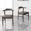 Daisy - Mid-Century Modern Dining Chair (Set of 2) by HouseOfZazla