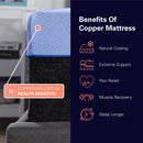12" Refresh Flex Head Hybrid Cooling Fast Responding Latex Foam & Coil Mattress