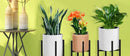 Adjustable black metal plant stand for living room sturdy support by Decorbites