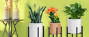 GobekUsa Adjustable Metal Plant Stand for 12-16 Inch Pots