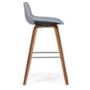 Randolph Bentwood - Counter / Bar Height Stool (Set of 2) by HouseOfZazla