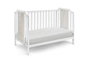 Brees Island - 3 In 1 Convertible Crib by HouseOfZazla