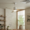 Aero Breeze Ceiling Fan Light