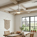 Aero Breeze Ceiling Fan Light