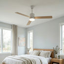 Aero Breeze Ceiling Fan Light