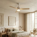Aero Breeze Ceiling Fan Light