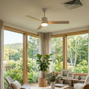 Aero Breeze Ceiling Fan Light