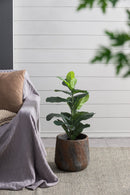 12.6x12.6x11.8" Cement Planter Small, Indoor Outdoor Garden Functional Decor by HouseOfZazla