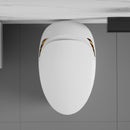 Unique Smart Toilet with Built-in Bidet