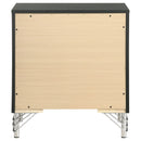 Malcolm - 2 Drawer Nightstand - Black by HouseOfZazla