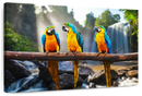 Macaw Friends Wall Art