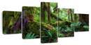 Mossy Rainforest Wall Art